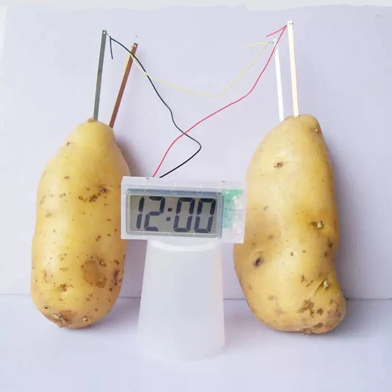 STEAM Toy Fruit Potato Generation Clock Vegetable Green Energy Science Education Toy School Experiment Kit