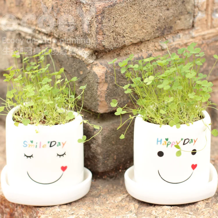 

Wholesale Creative Mini Desktop potted plants potted lucky angel promotional business gifts OEM Printed LOGO