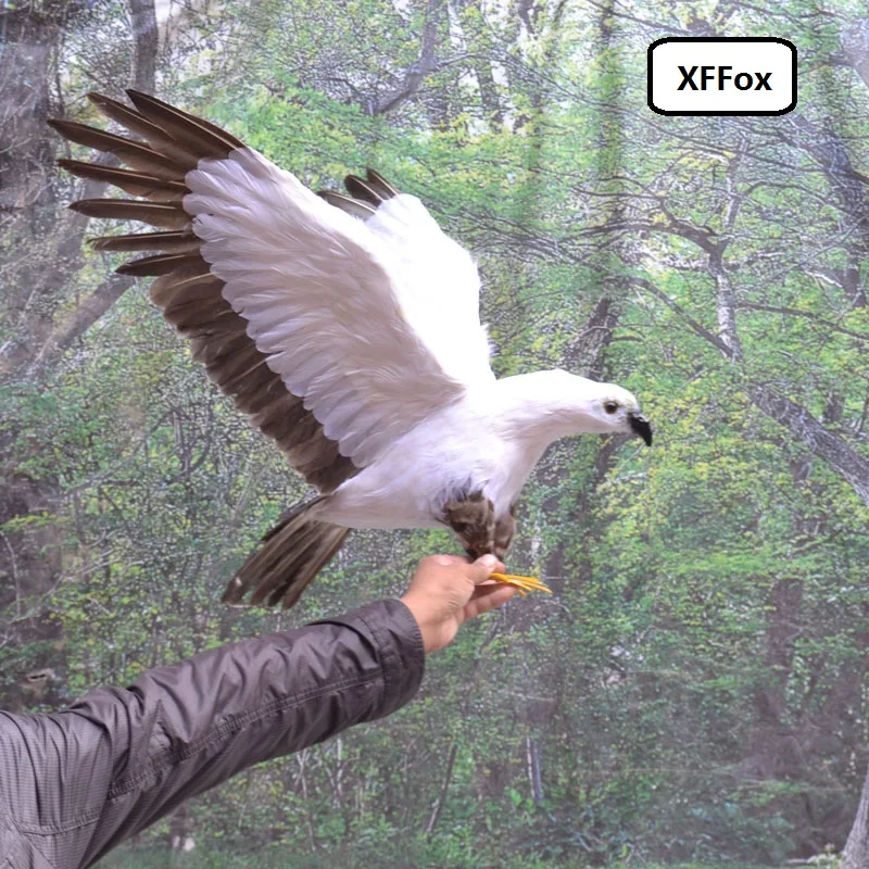 

big simulation white eagle model foam&feather gray wings eagle bird toy gift about 90x45cm xf0761