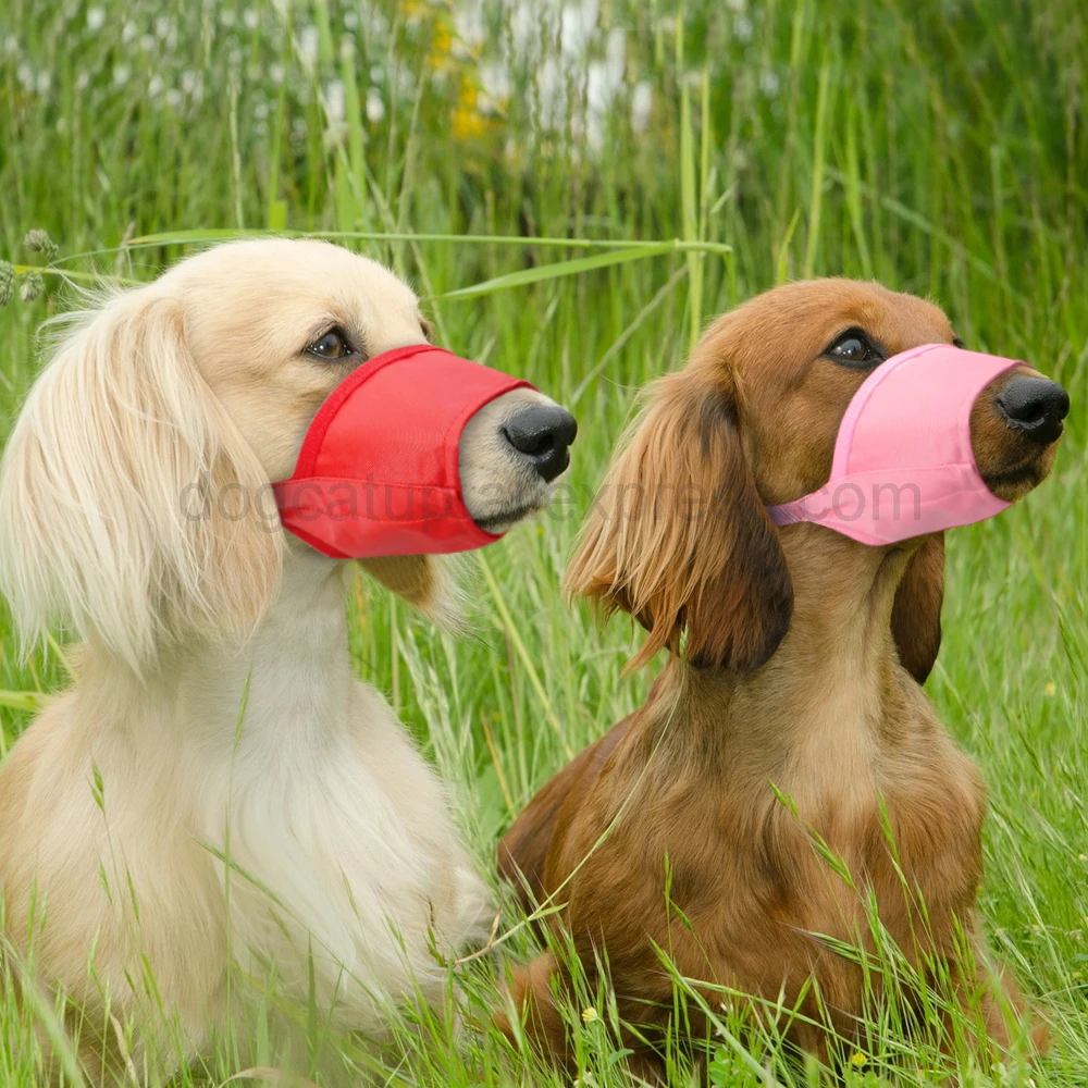 Bozal ajustable para perros, respirador de entrenamiento para perros pequeños, medianos y grandes, máscara bucal transpirable antiladridos, mordedura