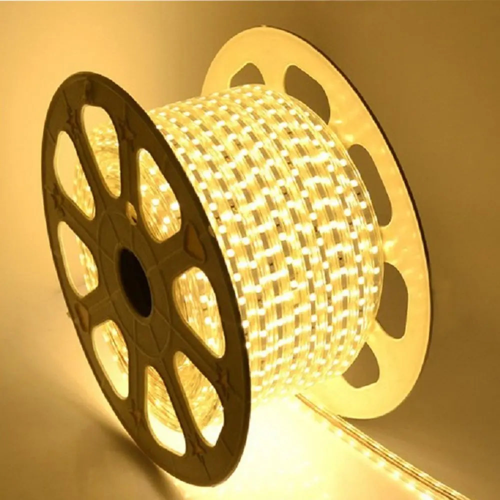 SMD 5050 AC220V Warm White LED Strip Flexible Light 60 led/m Waterproof Led Tape LED Light With Power Plug 50M