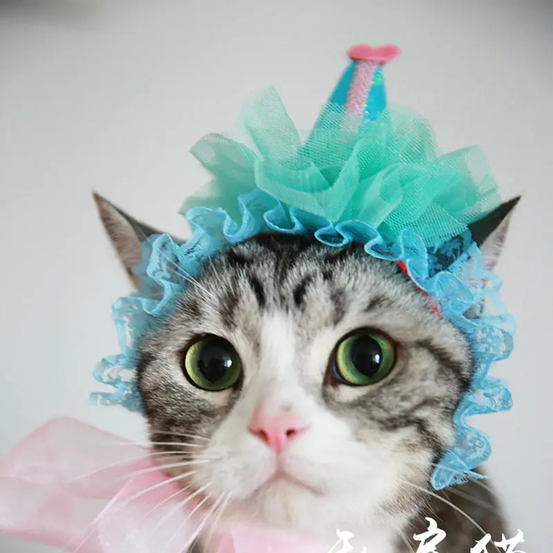 [MPK Cat Headwear] Beautiful Cat Hat, Pet Hair Accessories, Cat Headwear, Pet Birthday Hat, Cat Birthday Crown