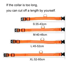 LED Dog Collar Night Safety #4