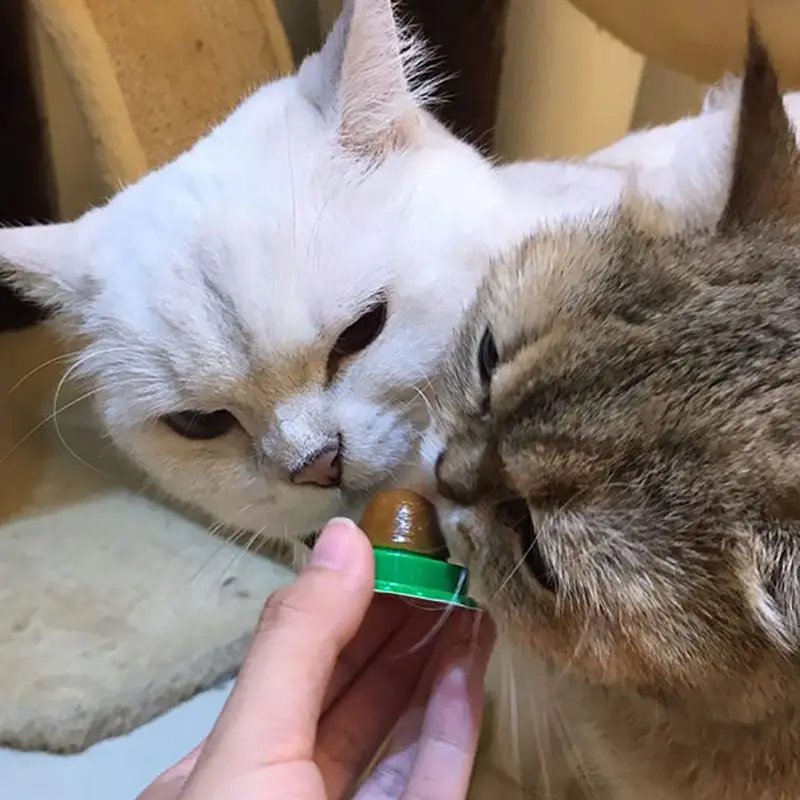 Cat Snacks Catnip Sugar Candy Licking Solid Nutrition Gel Energy Ball for Kitten Cats Healthy Food Digestion Pet Supplies