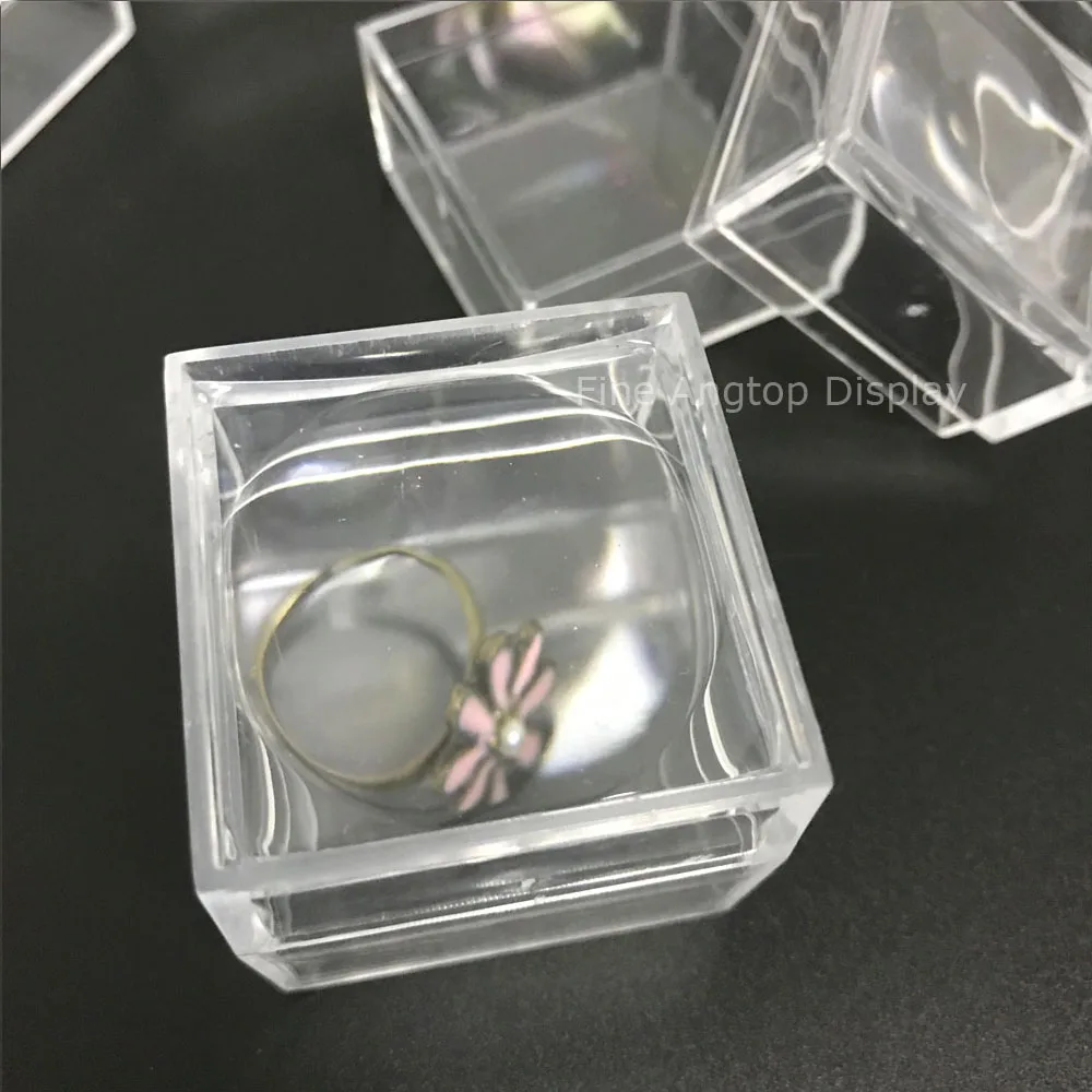 Insect Specimen Transparent Plastic Magnifying Jewelry Display Box