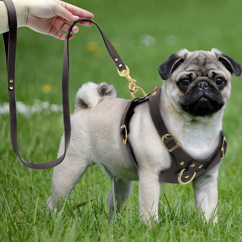 Dog Harness Vest Adjustable Genuine Leather Pet Dog Harness and Walking Leash Set For Small Medium Dogs Pug Beagle Brown