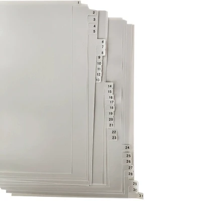 A4 Plastic Pagina Index Papier Effen Kleur 11-Gat Bestand Classificatie Label 31 Stuks