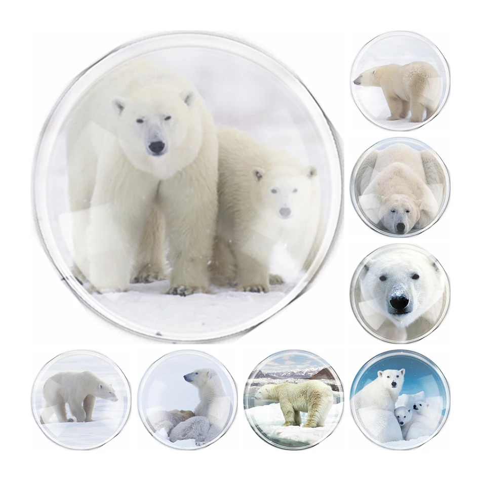 

New Handmade 6 Size Glass Cute Polar bear Flatback Camo Cabochon Domed DIY Jewelry Charm Photo Pendant Setting