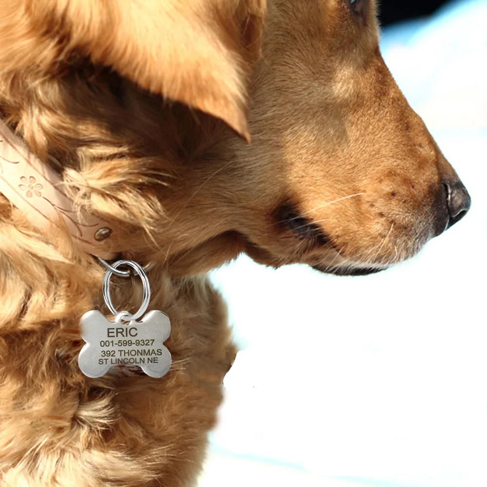 Free Engraving Text On Front And Back Sides Stainless Steel Pet Dog Tag Customized QR Name Address Telephone Free Toys Attaching