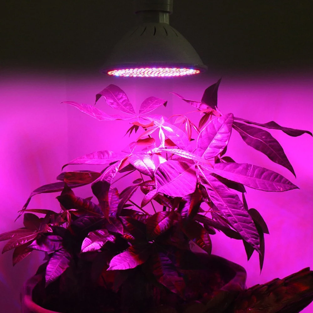 phytolamp Full Spectrum 200 LED Grow Lights E27 LED Grow Lamp  indoor plant Flowers  Seedlings Greenhouse Plant Fitolamp