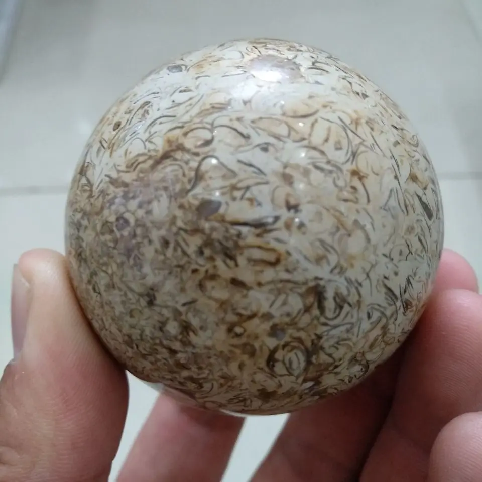 5-6cm Awesome! Dinosaur Bone Fossil Crystal Ball Sphere Madagascar