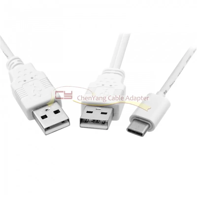 USB 3.1 Type C USB-C to Dual A Male Extra Power Data Y Cable for Cell Phone & Hard Disk