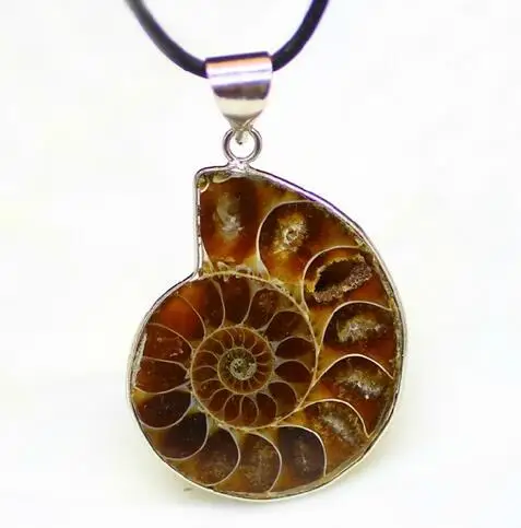 Drop shipping necklace Ammonite Fossl Inlay Pendant Stone Pendulum Chain Healing Chakra Reiki Fashion Jewelry