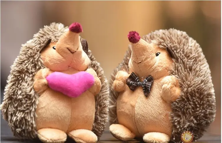 a pair of middle size hedgehog toys cute plush lovers hedgehog dolls gift toy about 30cm