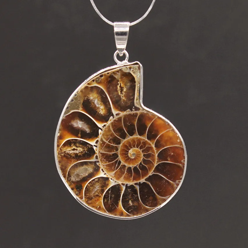 Different Size and Color Natural Irregular Shape Ammonite Reliquiae Stone Pendant Personalized Jewelry For Women Men Girls Gift