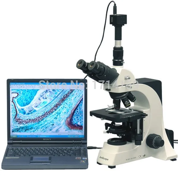 AmScope Supplies 40X-2500X Professional Laboratory Biological Microscope + 10MP Camera