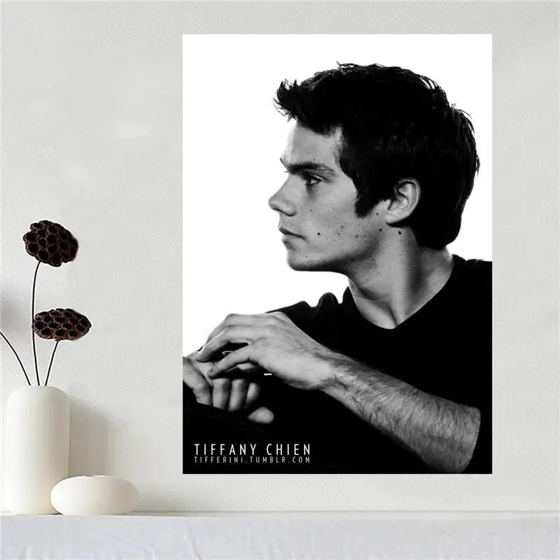 Custom canvas poster Art Dylan O'brien Home Decoration poster cloth fabric wall poster print Silk Fabric Print SQ0527