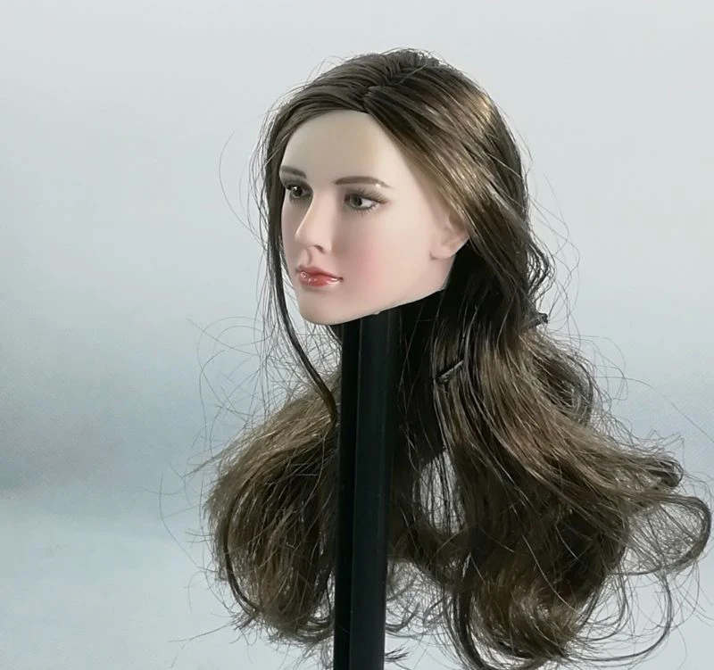 

1/6 Female Head Sculpt 1/6 Movie Star Pale Skin Female Head Black Long Hair Planted beauty Face For 12"Figure Doll Collection