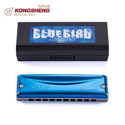 KONGSHENG RE-20 BlueBird Diatonic Blue Cover Major and Paddy Richter tuning