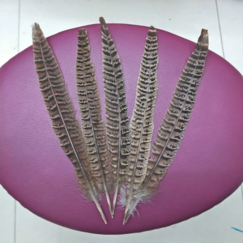 Best selling high quality 500pcs 25-30 cm / 10-12 inches natural pheasant  tail feathers, stage decoration