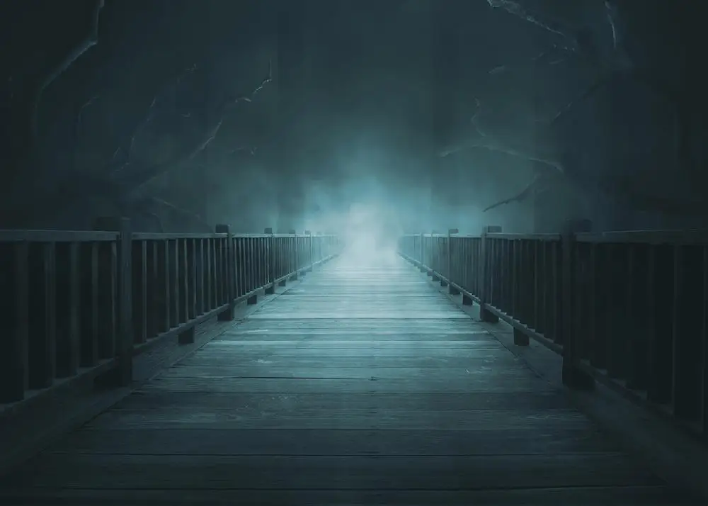 Capisco-puente de bosque espeluznante, bosque sombrío, escena aterradora, fondo para sesión de fotos, accesorios de estudio de fotografía nocturna de noche de Halloween Vintage