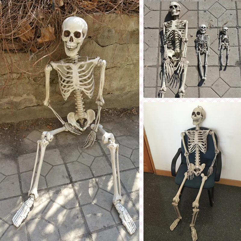 Set of 4 Human Skeleton 165cm 90cm 40cm 30cm Halloween Skeleton 100% Plastic Skeleton for Halloween Decorations