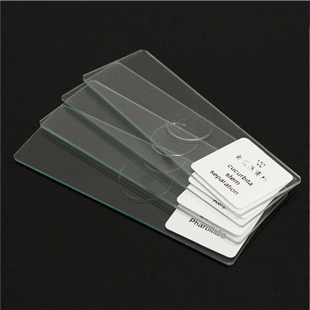 100 PCS Prepared Biological Basic Science Microscope Glass Slides School and Laboratory English Label Teaching Samples