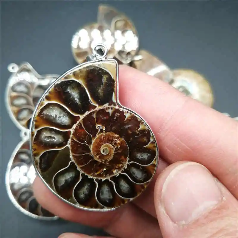 necklace commercio all'ingrosso 1 pz fascino naturale ammonite shell monili del pendente beads pendant per la collana