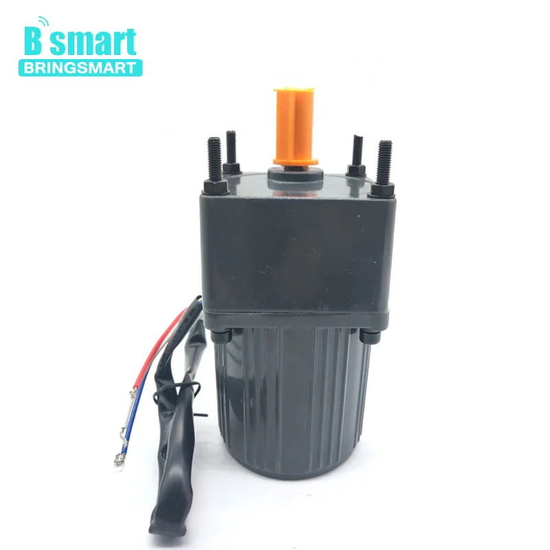 Bringsmart 3IK15GN-C AC 220V 15W Single Phase Fixed Speed Motor 220V AC Constant Speed Motor Low Speed Reversible With Capacitor