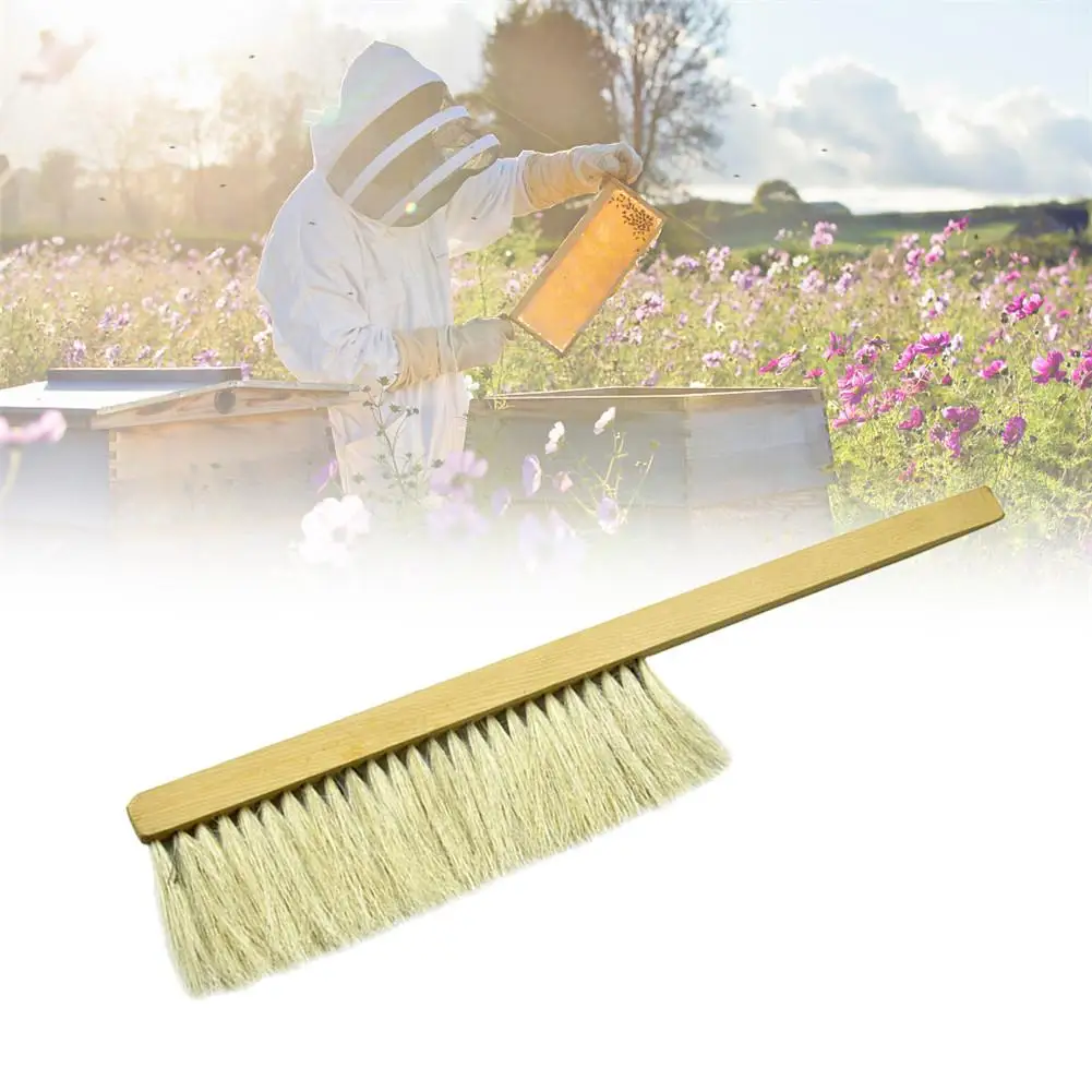 Beekeeping Tools Wood Wasp Sweep Brush Two Rows Of Horse Tail Hair New Bee Brush Beekeeping Equipment