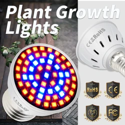 E27 LED phytolamp Serra 220V GU10 Led Coltiva La Luce B22 Led Impianto Al Coperto Lampada E14 UV Lampadina Piantina 4w 6w 8w groeilampen gu5.3