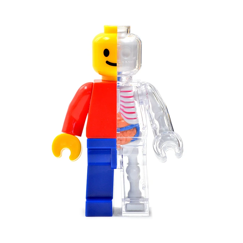 1Pcs Anime 4D MASTER Skeleton Anatomy Model Brick Man Doll Building Blocks Action Figures Adults Kids Science Toys Gifts