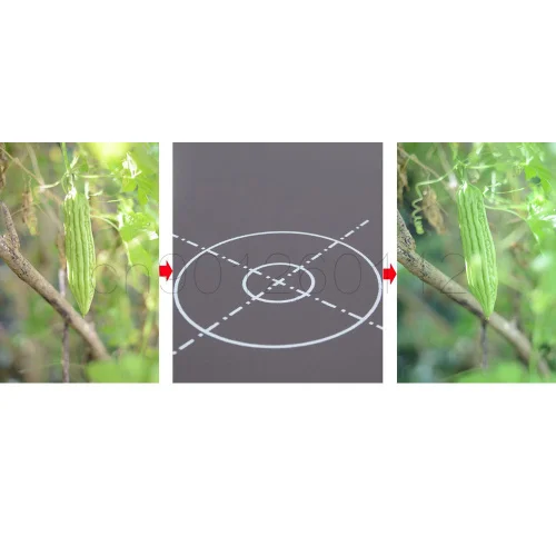 12 дюймов 30 см 18% Складная серая карта отражатель баланс белого двухсторонняя фокусировочная доска с сумкой для переноски