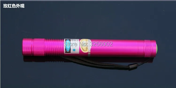 

2-in-1 Mini LED Laser Pointer Pet Training Flashlight Adjustable Focus blue Lazer torch Training Torch Pet Cat Tickle Toy