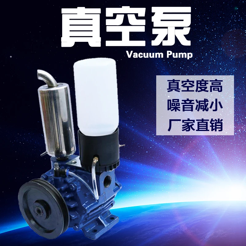 

250L High Quality Fiber Rotary Blade Vacuum Pump for Portable Milking Machine