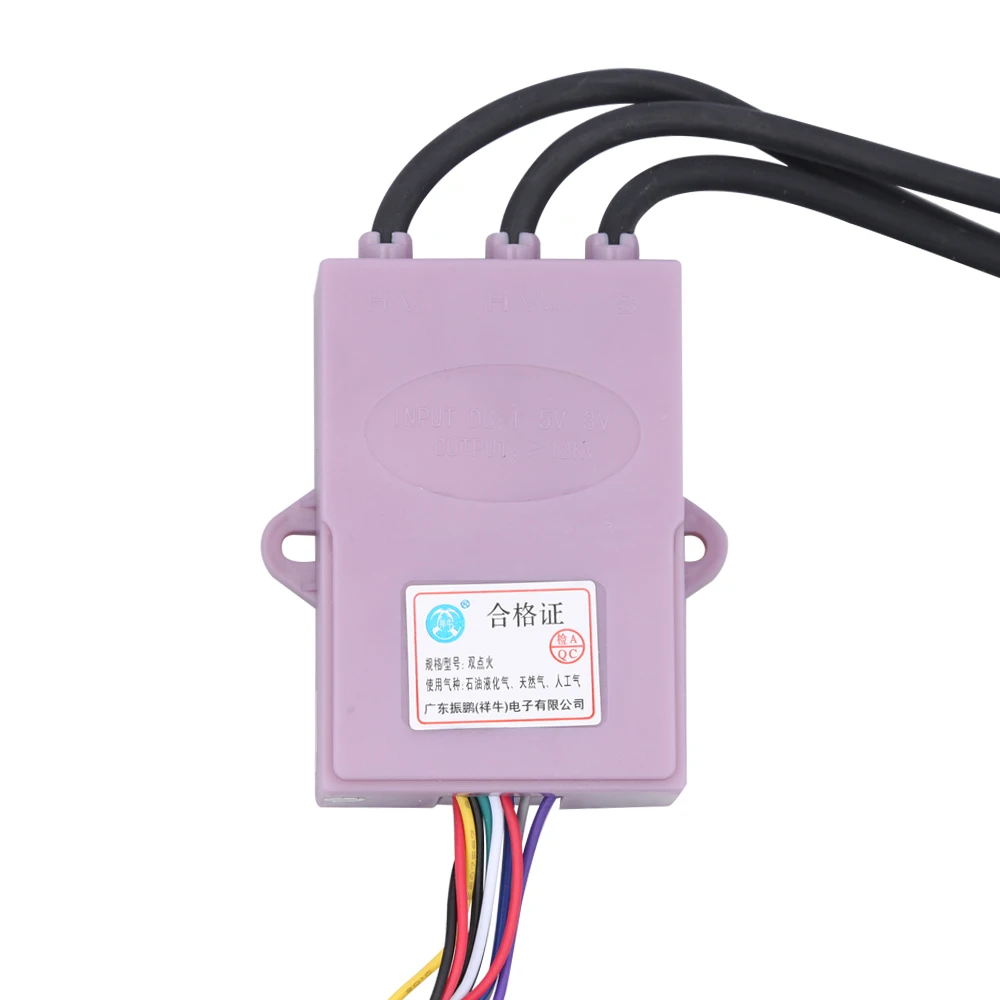 Applicable Gas Water Heater 3-wire Pulse Igniter Flue Double Ignition Controller Water Heater Accessories