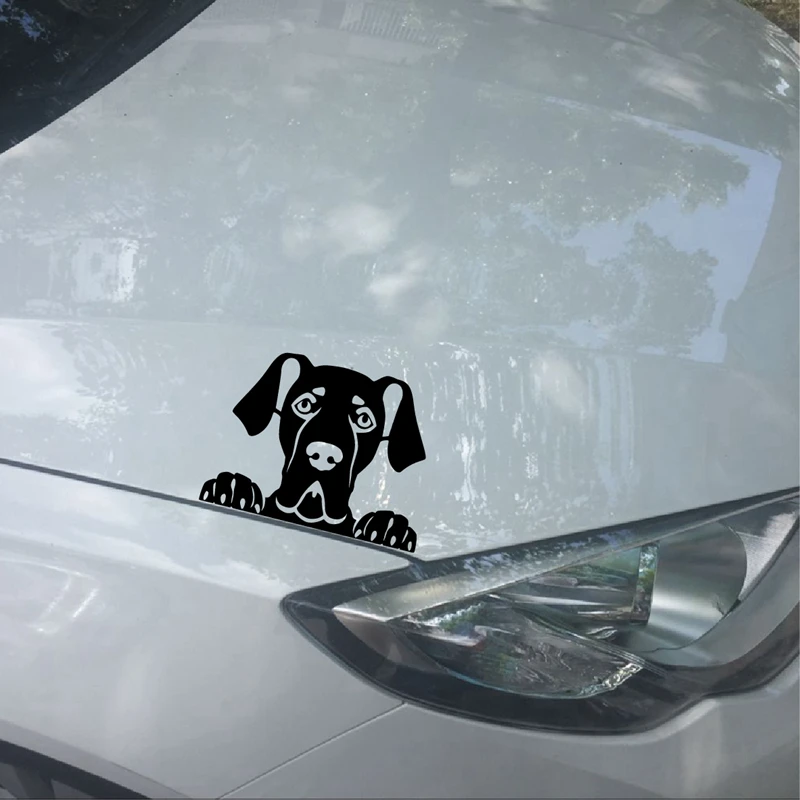 Peeking Great Dane Decal Personalized Vinyl Car Sticker, Pet Dog Great Dane Silhouette Removable Decals Car Window Laptop Decor