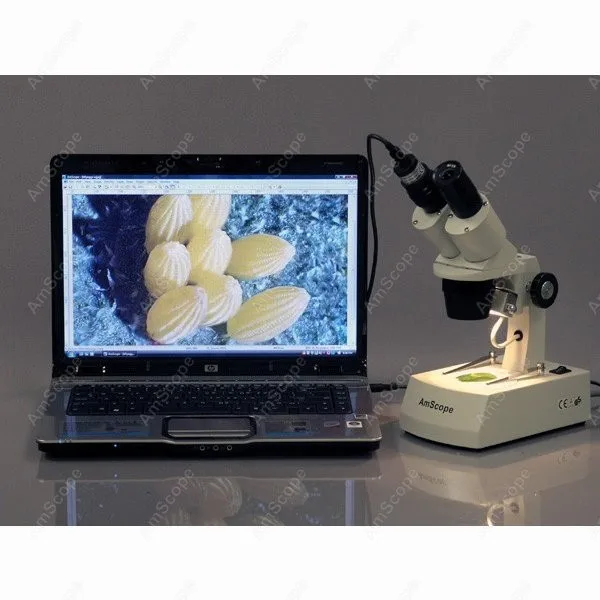 مجهر ستيريو--AmScope 10X-20X-30X-60X مجهر ستيريو مع كاميرا USB