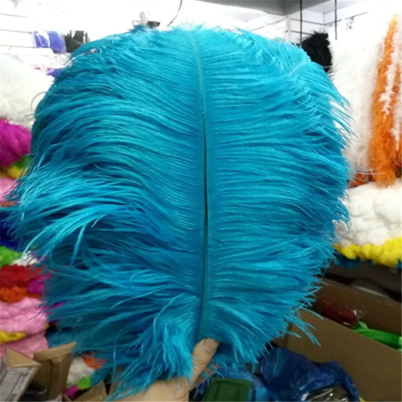 Beautiful ostrich feather 100 PCS feather length 10 - 12 inches / 25 - 30 cm of wedding to decorate a variety of color optional