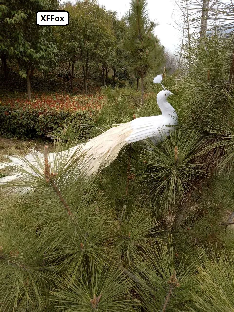 white real life peacock model foam&feather simulation beautiful peacock bird gift about 80cm xf0315