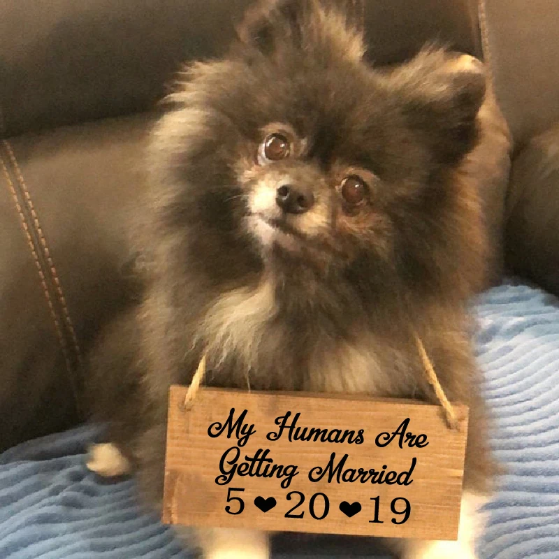 Custom The Date Dog Wedding Sign Vinyl Sticker Decor , My Humans Are Getting Married Decals Pet Wedding Accessories Decoration