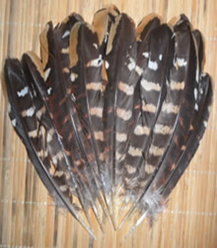 Free shipping wholesale 100pcs high quality natural Wild pheasant feathers 12-18cm / 5-7inch variety of decorative and collect