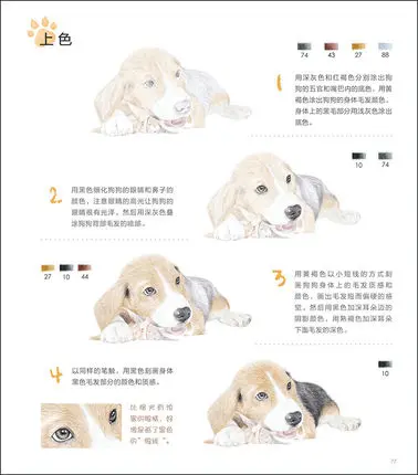 Cartoon Cute Dog Drawing Book Sketch Pencil Painting Techniques Chinese Art Book Animal Color Pencil Painting Textbook