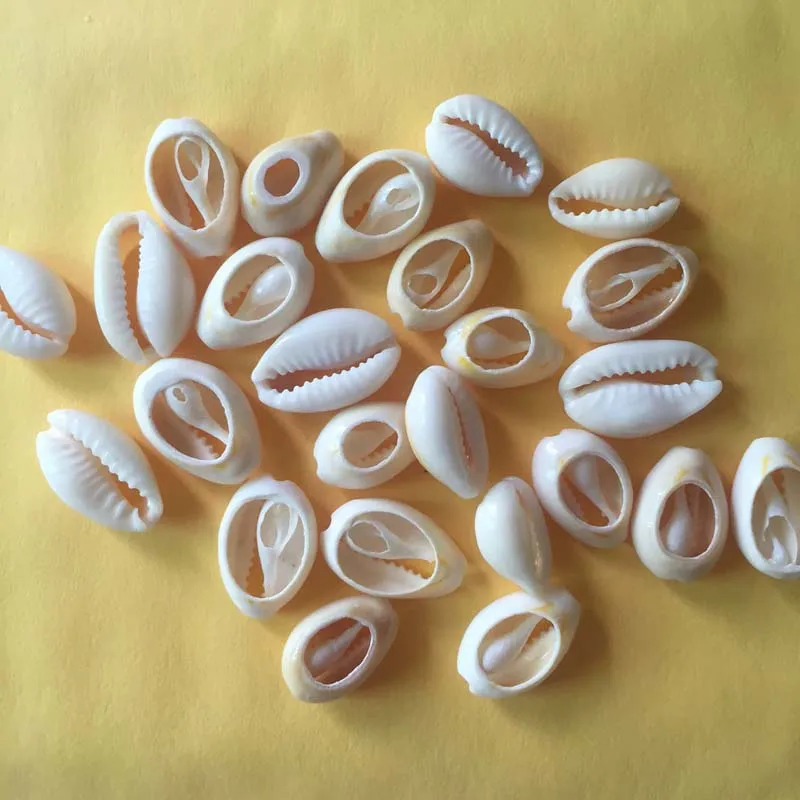 60pcs Mix Different Shape And Size Spiral Shell Beads for DIY Jewelry Making Dyed Cowrie Shells Seashell