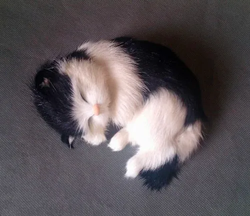 about 14x11cm black&white sleeping cat model, polyethylene&furs handicraft Figurines home decoration toy gift a2782