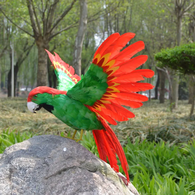 large 40x60cm colourful feathers parrot Handmade model,polyethylene& feathers bird ,home,garden decoration toy gift w3976