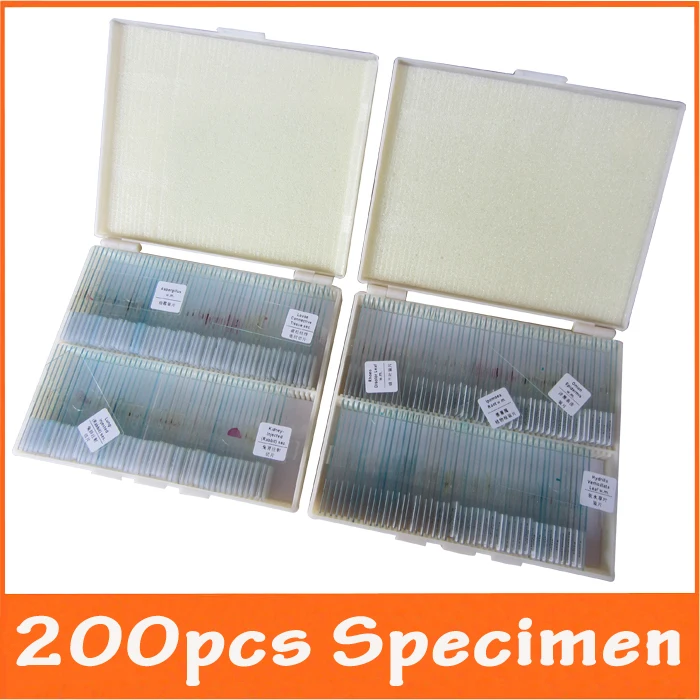 

200pcs Professional Lab Laboratory Plant Animal Insect Specimen Glass Prepared Microscope Slides for Biological Microscope