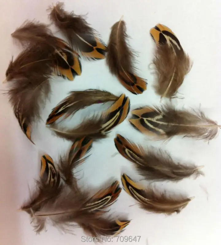 200Pcs/Lot,4-7CM Small Feathers,Pointed Ringneck Pheasant Plumage Feathers,Loose Craft Feathers ,plumas para manualidades