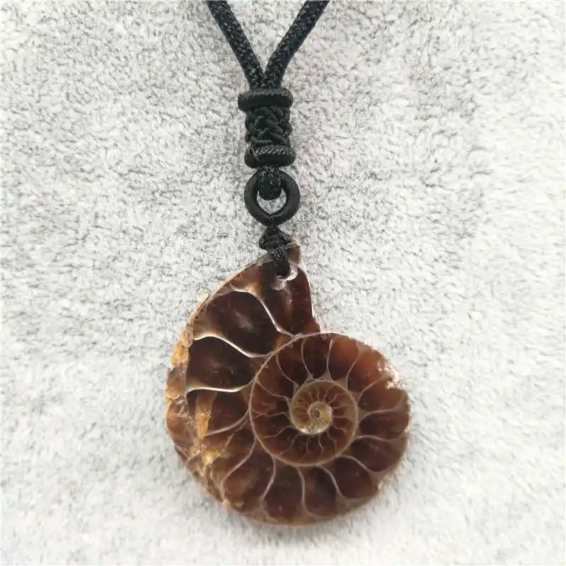 Beautiful Natural Stone Ammonite  Seashell Snail Pendants Ocean Reliquiae Conch Animal Necklaces Statement Men Jewellery