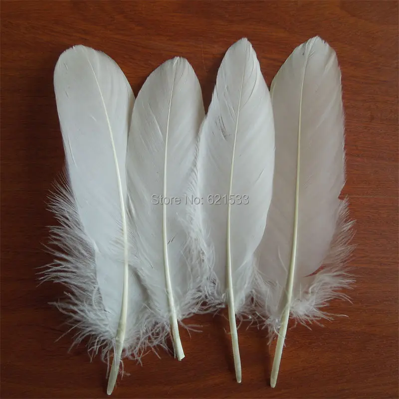 

Goose Feather!Beige Goose Satinettes feathers(200 pcs per lot) Perfect for crafts,costume design,headbands or hair fascinators